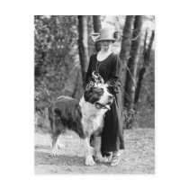 St Bernard & Boston Terrier, 1925 Postcard