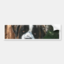 St. Bernard Bumper Sticker