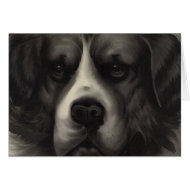 St Bernard card