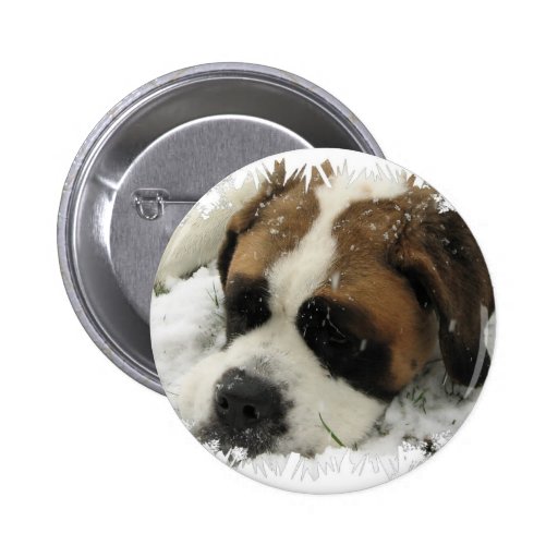 St Bernard Dog Button