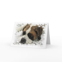 St Bernard Dog Greeting Card