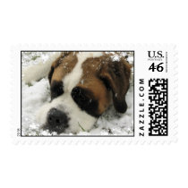 St Bernard Postage Stamp