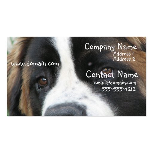 St Bernard Puppies Business Card (front side)