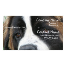 St Bernard Puppies Business Card