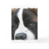 St Bernard Puppies Greeting Card