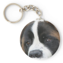 St Bernard Puppies Keychain