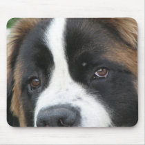 St Bernard Puppies Mouse Pad