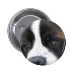 St Bernard Puppies Round Button