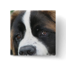 St Bernard Puppies Square Pin