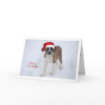 St Bernard Puppy Christmas cards