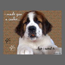 St Bernard Puppy Cookie Canvas
