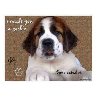 St Bernard Puppy Cookie Poster print