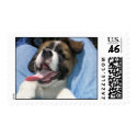 St. Bernard Puppy postage by buterflyluv St. Bernard Puppy postage