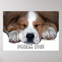 St. Bernard Sleeping Puppy Dog : Dream BIG! Poster