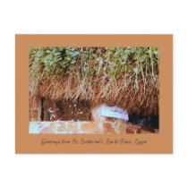 St. Catherine's Monastery, South Sinai, Egypt Post Card