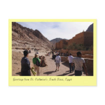 St. Catherine's Monastery, South Sinai, Egypt Post Cards