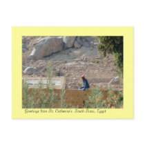 St. Catherine's Monastery, South Sinai, Egypt Postcards