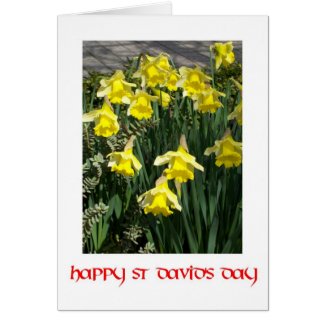 St David's Day Daffodils Greeting Card