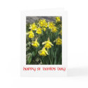 St David's Day Greeting Card card
