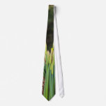 St David's Day ties