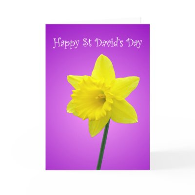 Welsh Cartoon Daffodil