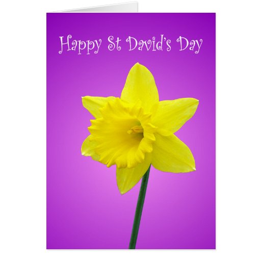 St Davids Day Welsh Daffodil Card Zazzle