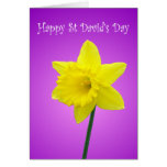 St Davids Day Welsh Daffodil Greeting Cards
