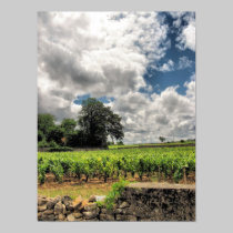St. Emillion vineyards posters by xtinec1 St. Emillion vineyards posters