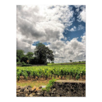 St. Emillion vineyards posters by xtinec1 St. Emillion vineyards posters