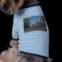 St Flannans college pet clothing