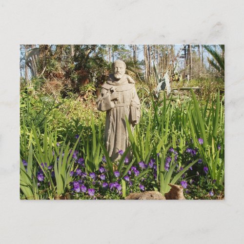 St. Francis Among Pansies postcard