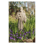 St. Francis Among Pansies