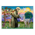 St Francis and Llama Baby Greeting Card