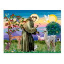 St Francis and Llama Baby Postcards