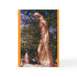 St Francis and the Prairie Dog cards