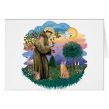 St Francis (ff) - Orange Tabby cat Greeting Cards