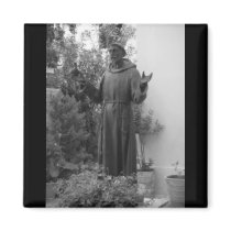 St. Francis magnets