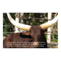St. Francis of Assisi Quote about Animal Rights posters