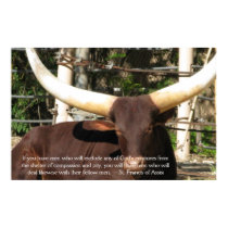 St. Francis of Assisi Quote about Animal Rights posters by all_creatures St. Francis of Assisi Quote about Animal Rights posters