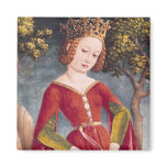 St. George and the Dragon magnets