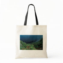 St. George Island Bluff View Tote Bags