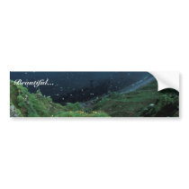 St. George Island Bluff View Bumper Sticker