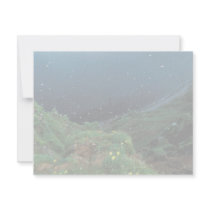 St. George Island Bluff View Custom Invite