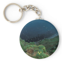 St. George Island Bluff View Key Chains