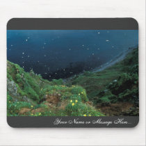 St. George Island Bluff View Mouse Pad