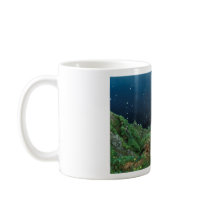 St. George Island Bluff View Mugs