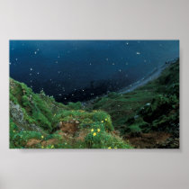 St. George Island Bluff View Poster