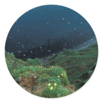 St. George Island Bluff View Round Sticker