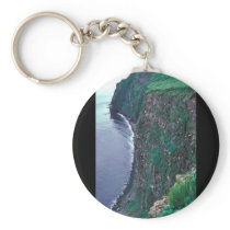 St. George Island, Population plot 39, Pribilof Is Key Chain