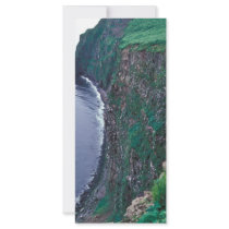 St. George Island, Population plot 39, Pribilof Is Customized Rack Card